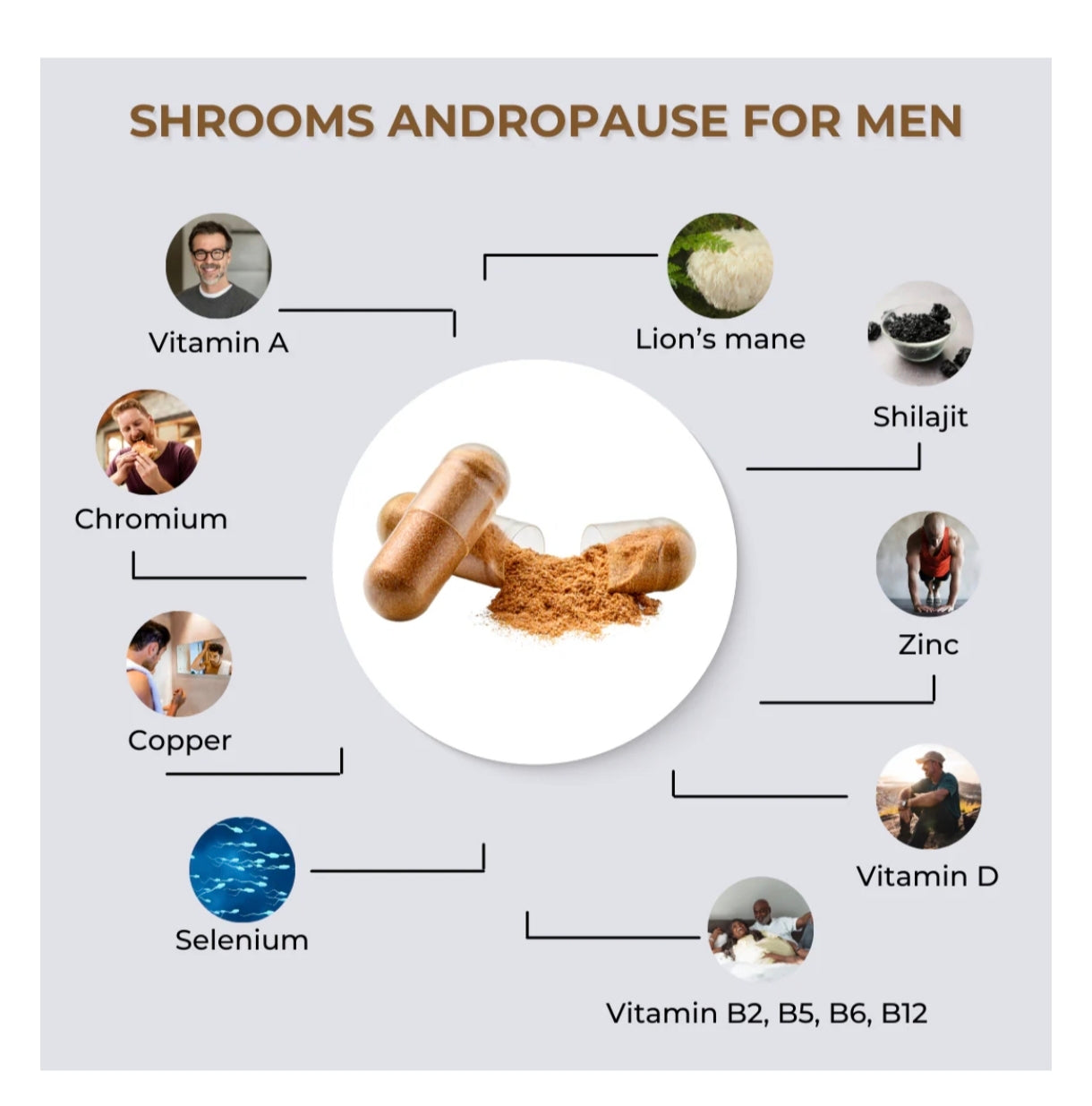 Fabü SHROOMS ANDROPAUSE FOR MEN